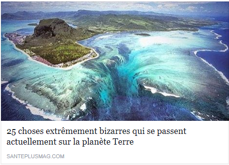 THROUGH THE GRAPEVINE 06