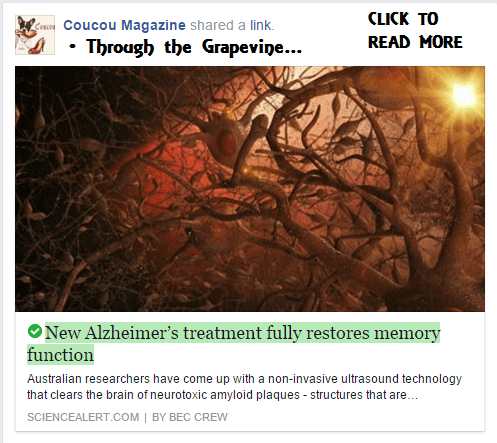 THROUGH THE GRAPEVINE 02